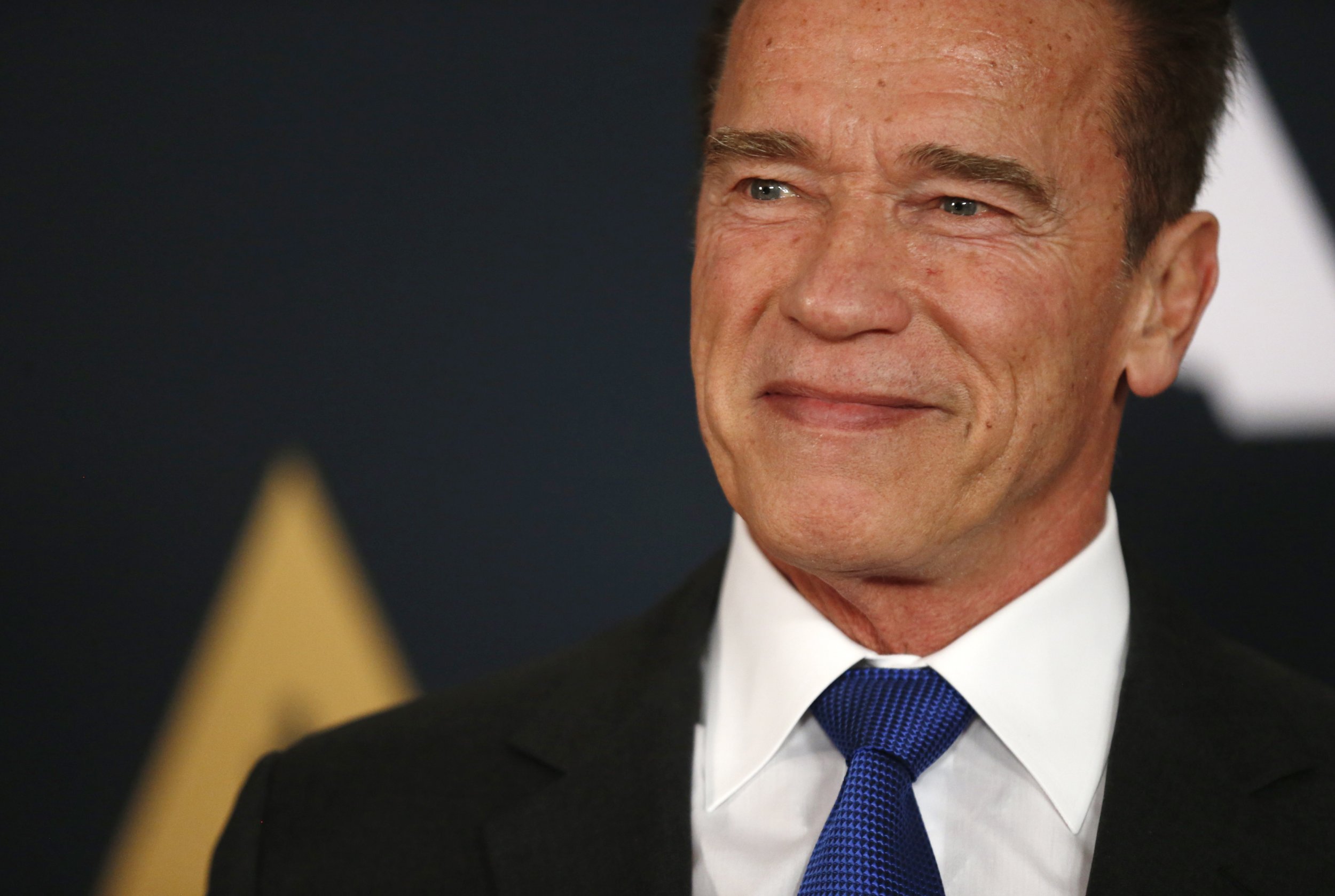 0310_Schwarzenegger_Senate_01