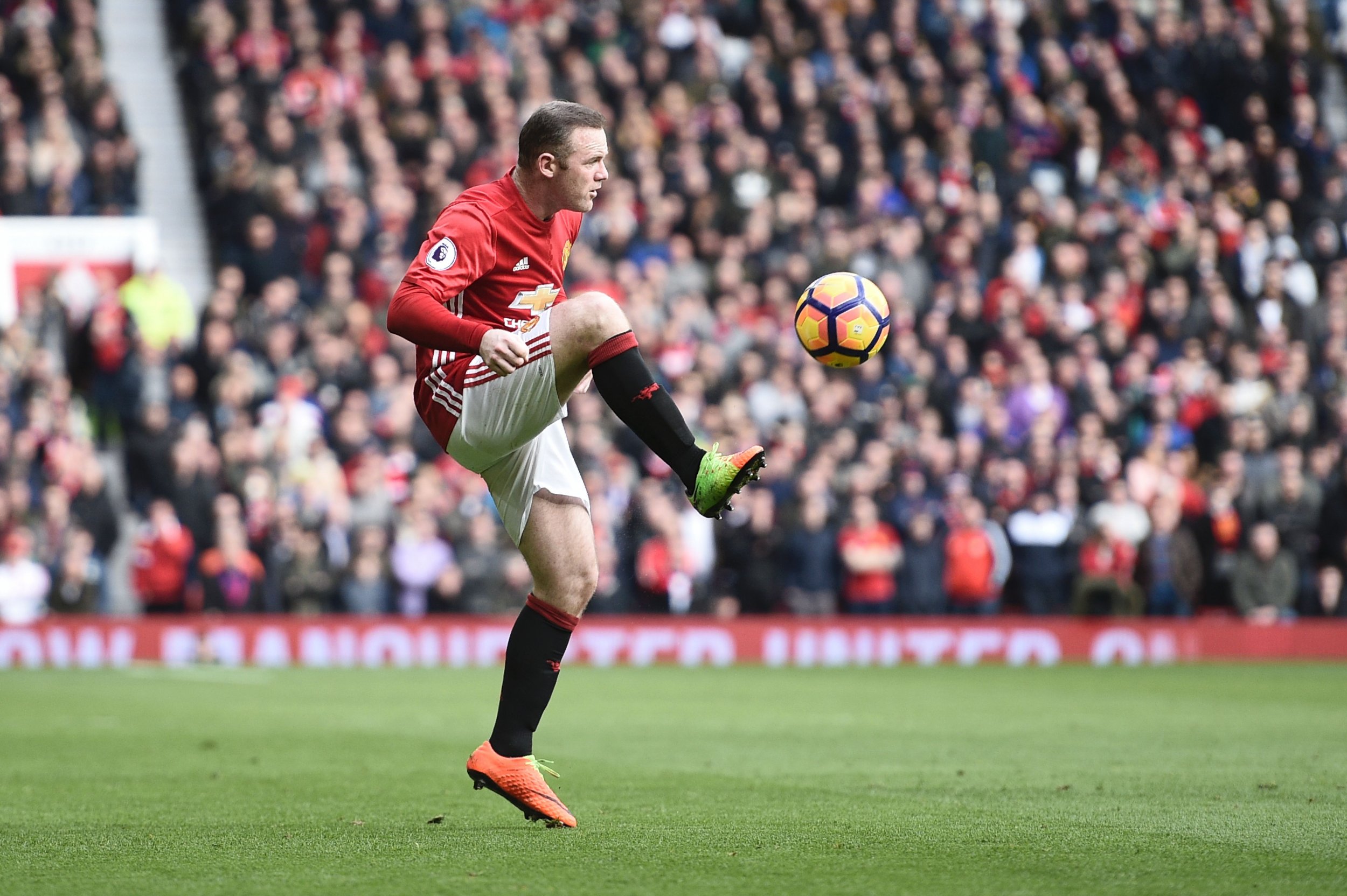 Manchester United striker Wayne Rooney