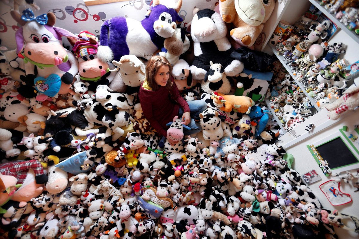 Toy Cow Collection