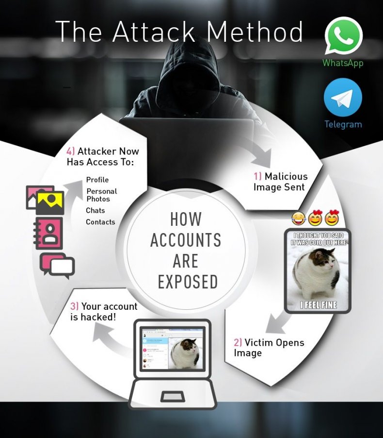 whatsapp hack check point telegram