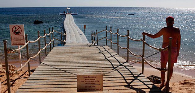 egypt-shark-attack-wide