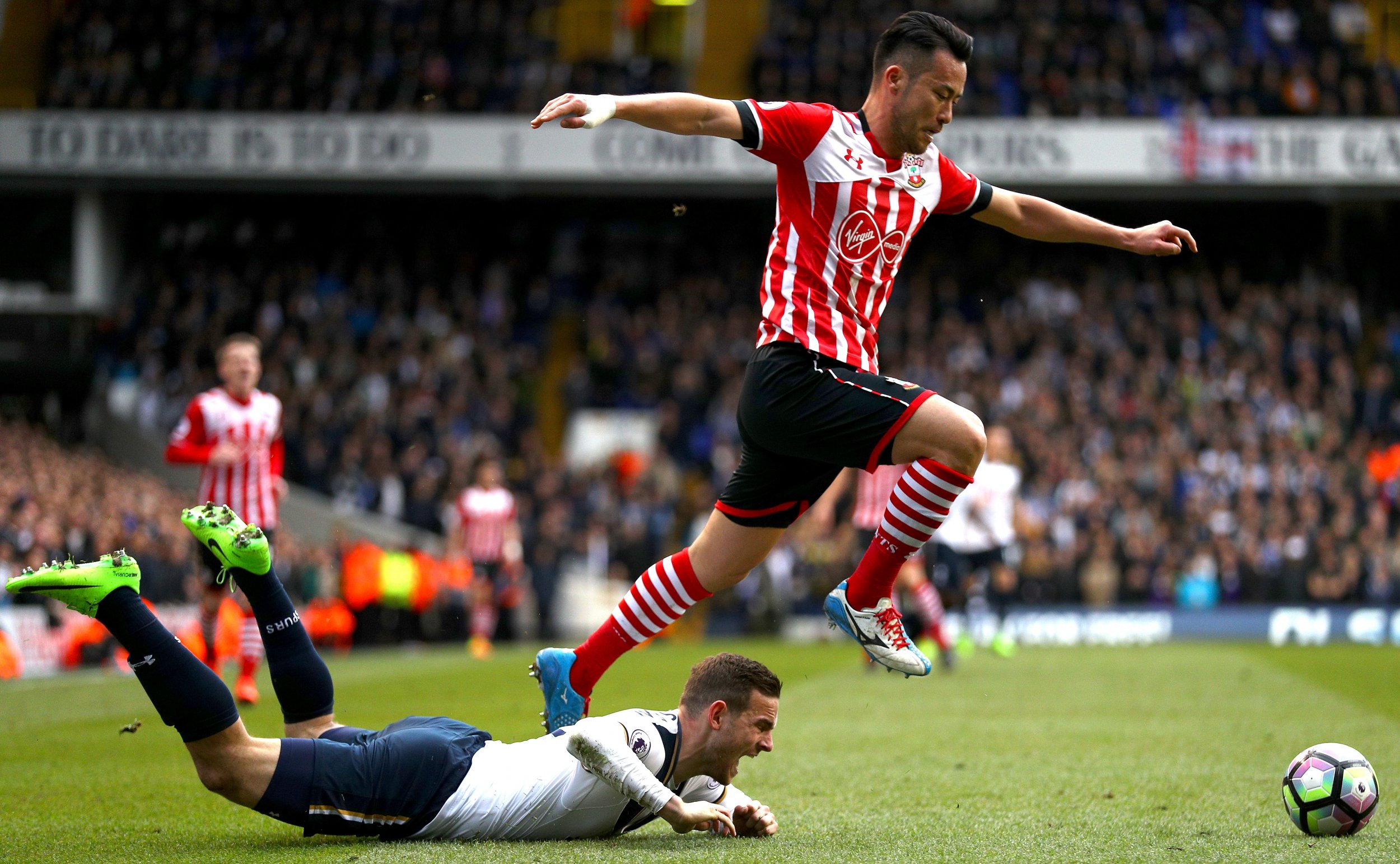 Tottenham Hotspur striker Vincent Janssen, bottom.