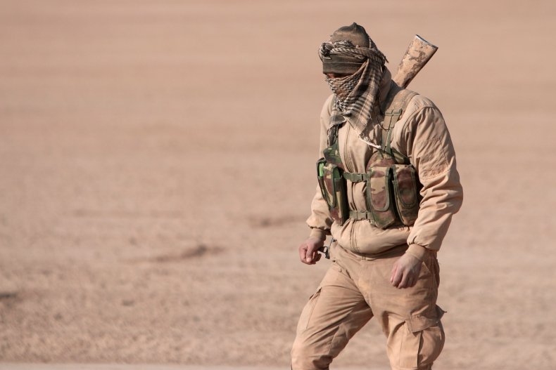 SDF fighter