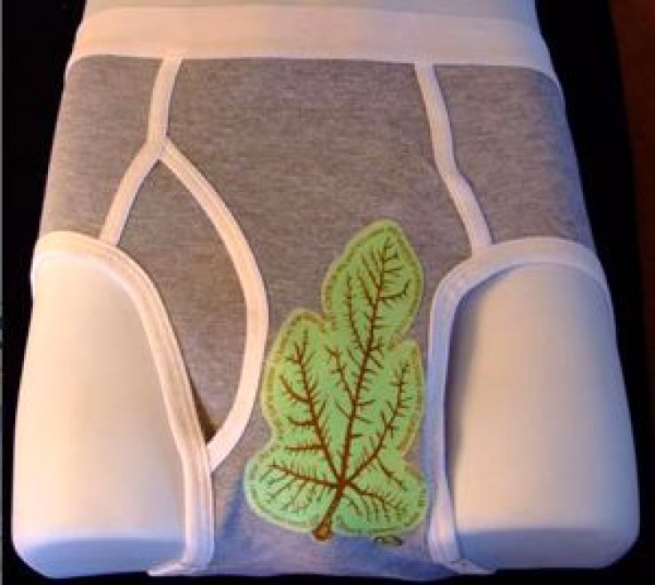 tsa pat down, underwear coverage tsa pat down, underwear coverage