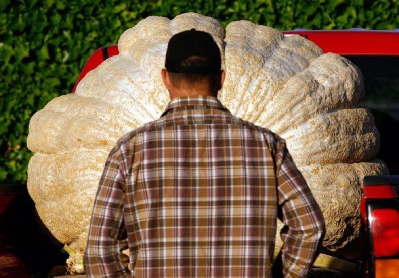 gallery-the-worlds-biggest-foods