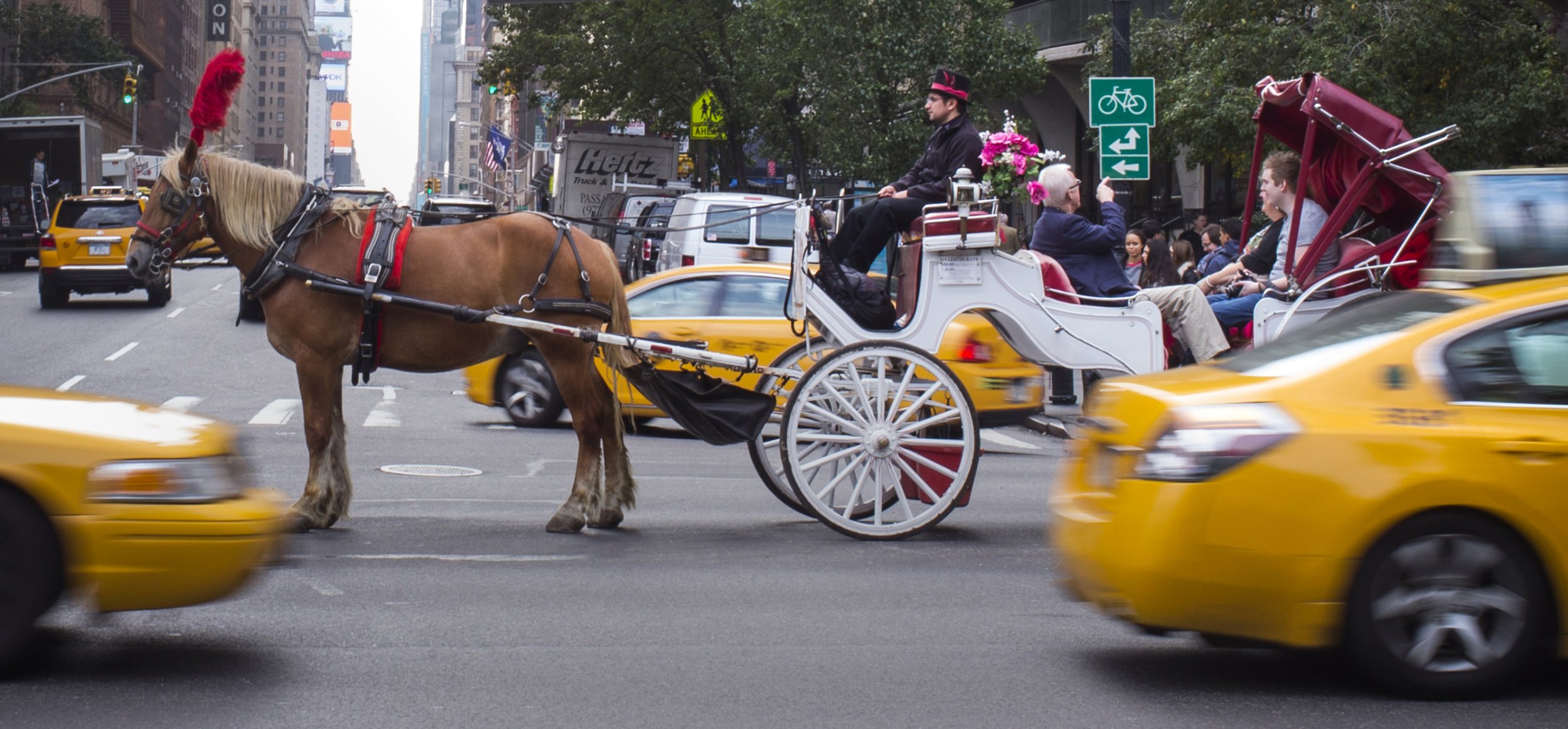 New york taxi