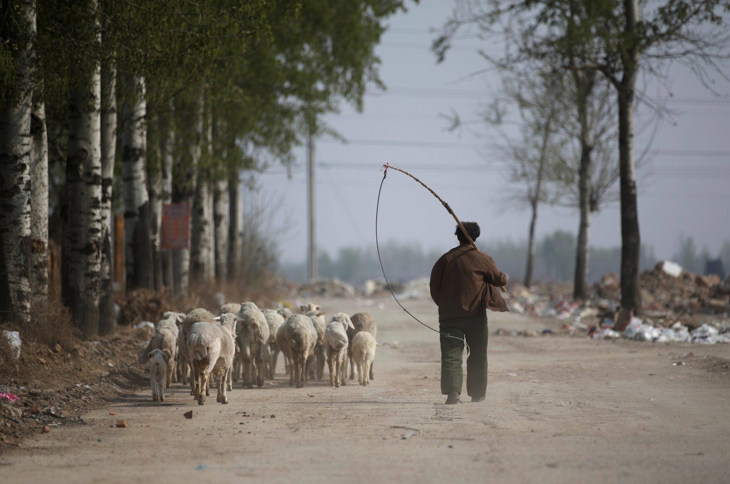 China is Building a City Three Times the Size of New York - Newsweek