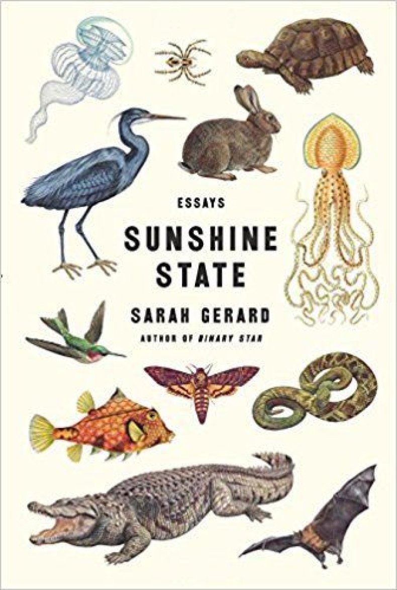 wirsunshinestate