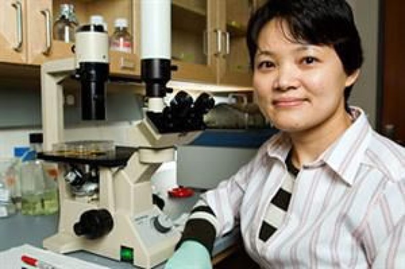 stem-cells-yu