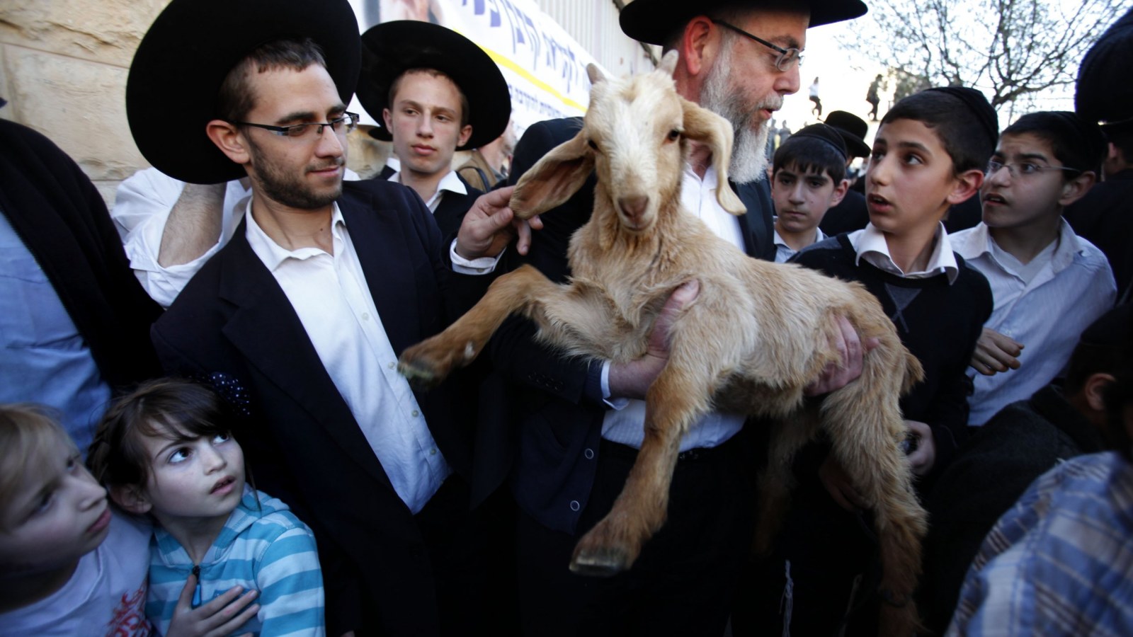Why Do Jewish Activists Keep Trying to Sacrifice Goats in Jerusalem's Old  City?