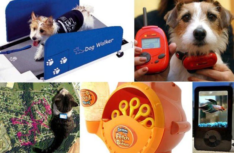 photos-extreme-pet-gadgets-modern-pet-cessories-image0