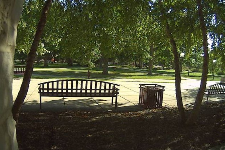 st-olaf-college-ed02