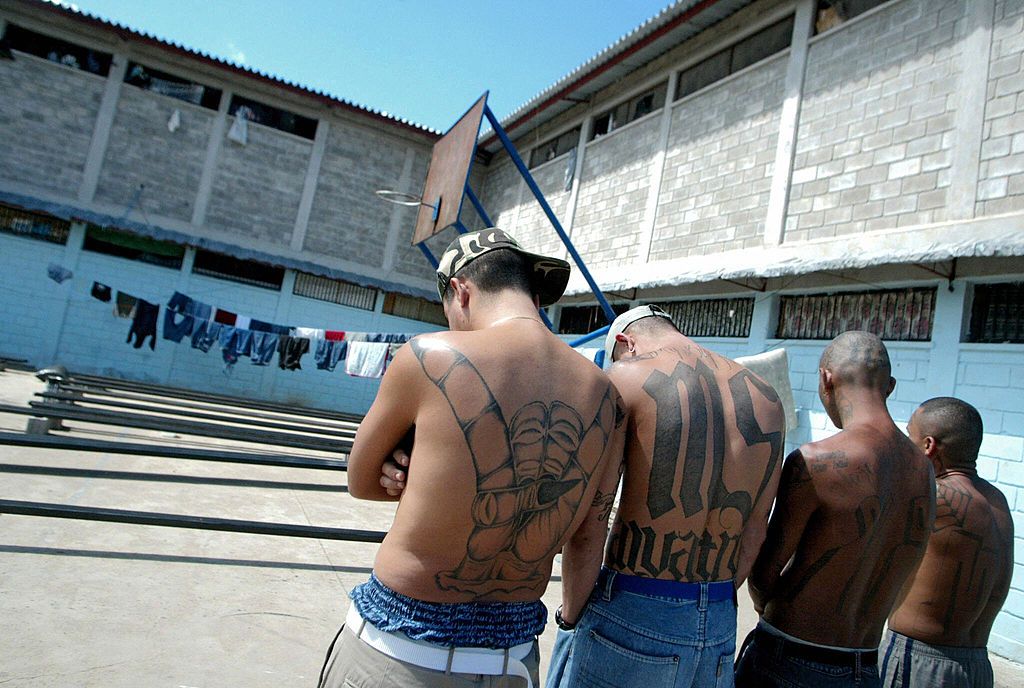 The Jail Report  GANG GRAFFITI AT NORTH AUGUSTA WALMART A Gloverville man  with a gang tattoo across his forehead was arrested last night at the North  Augusta Walmart with two juveniles