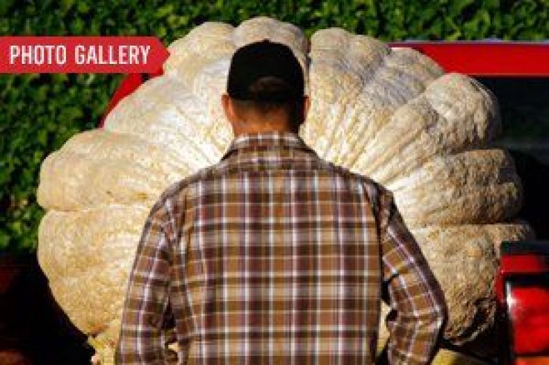 gallery-the-worlds-biggest-foods-slah gallery-the-worlds-biggest-foods-slah