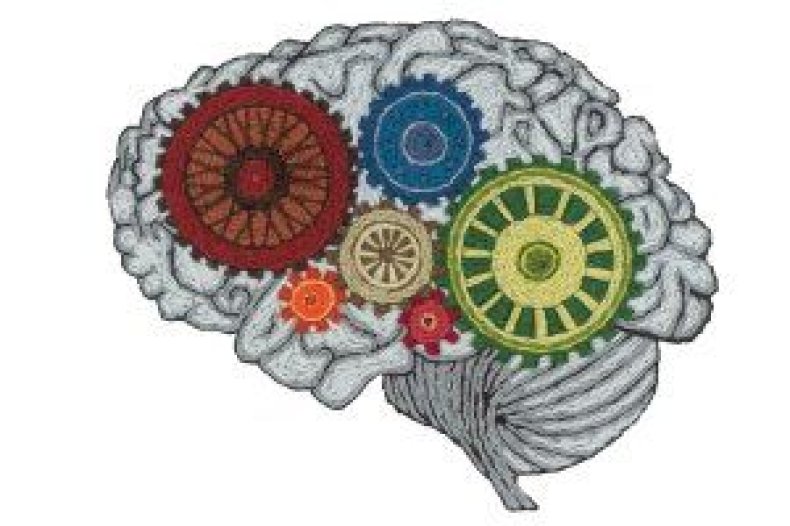 brain-he0901-tease