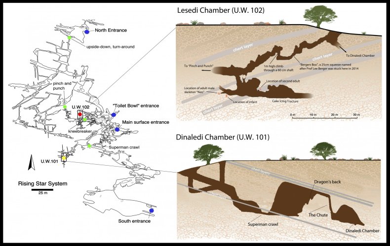 Lesedi Chamber