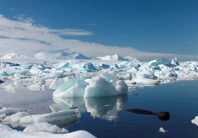 icebergs in the Antarctic