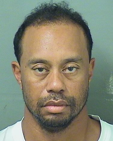 tiger_woods_dui_0529