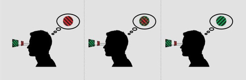 binocular rivalry