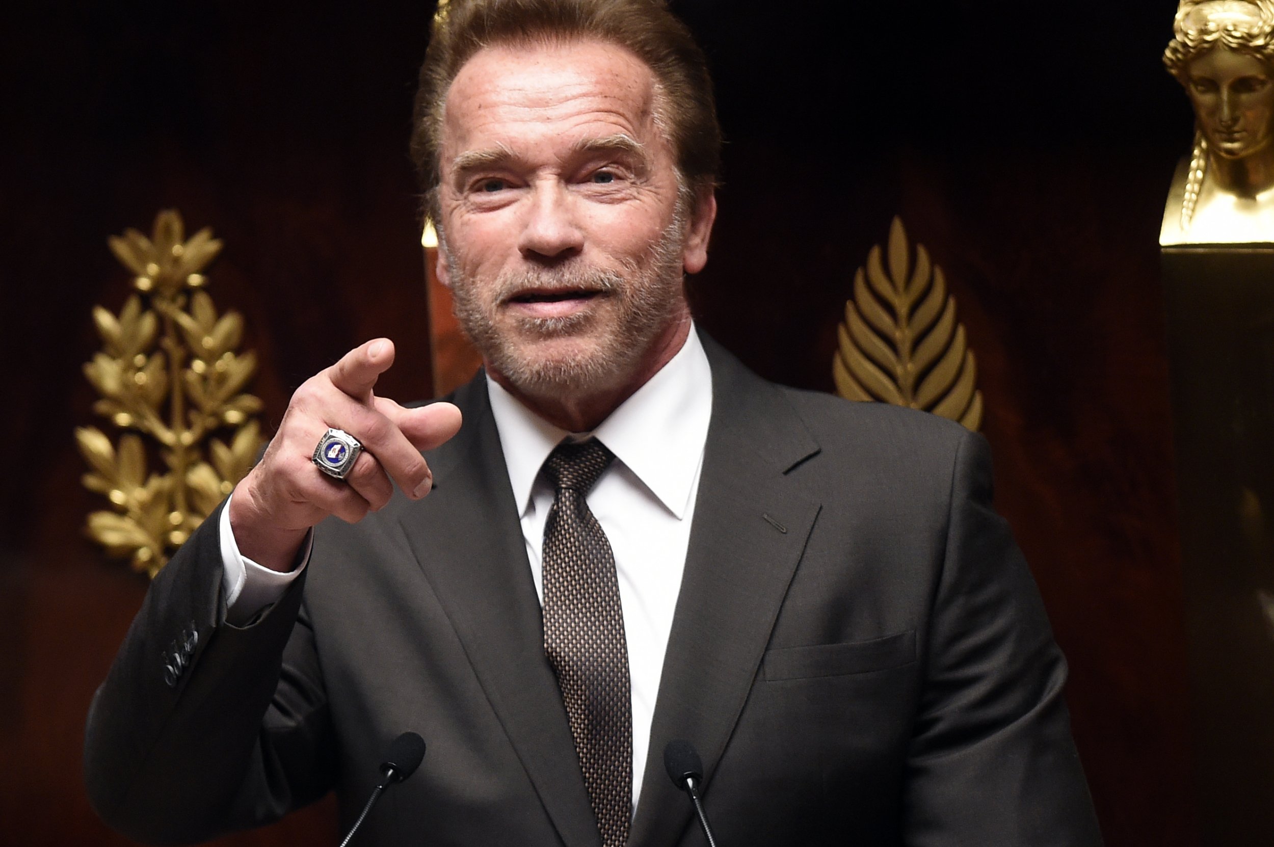 Arnold Schwarzenegger 