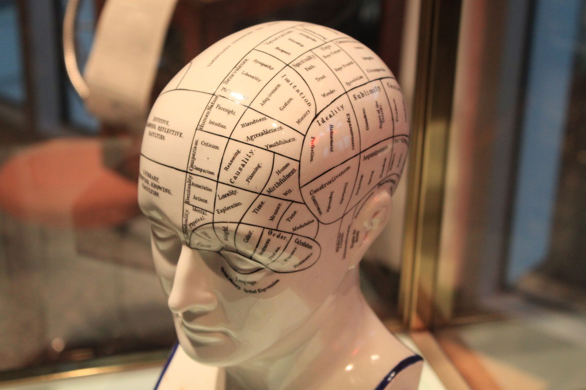 Phrenology