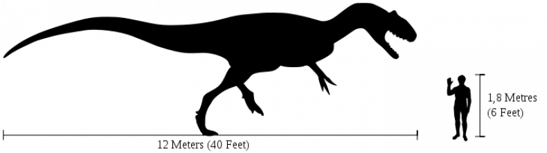 Human-allosaurus_size_comparison