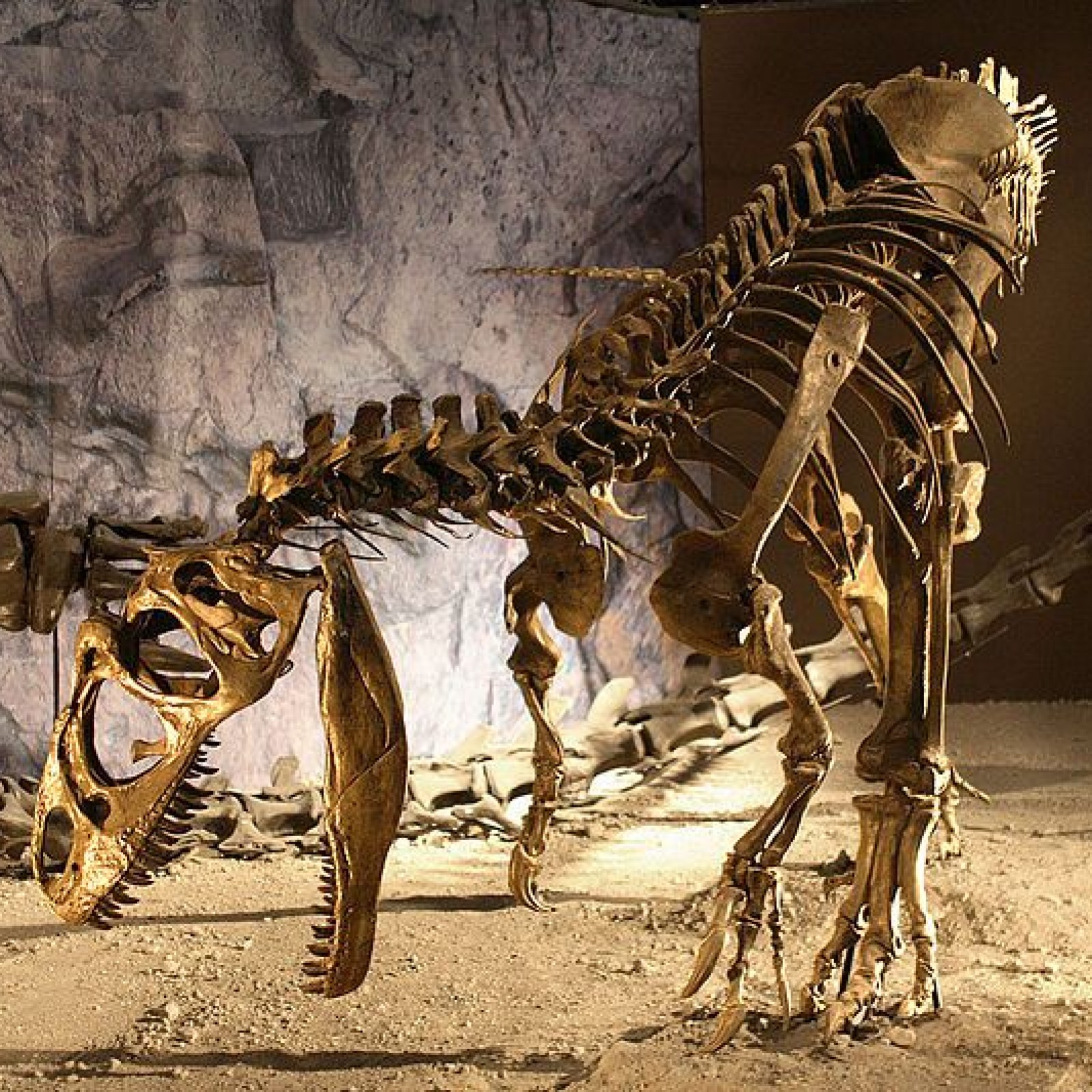 New predator 'dawn runner' discovered in early dinosaur graveyard