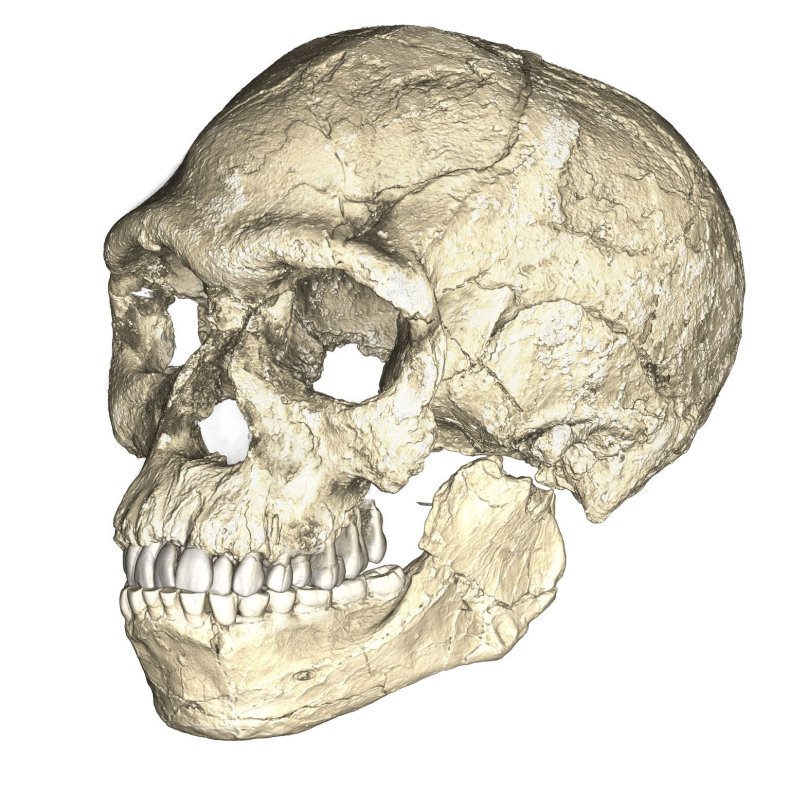 Figure-10