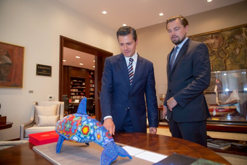 DiCaprio Vaquita