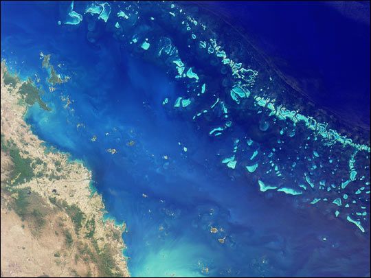 great barrier reef