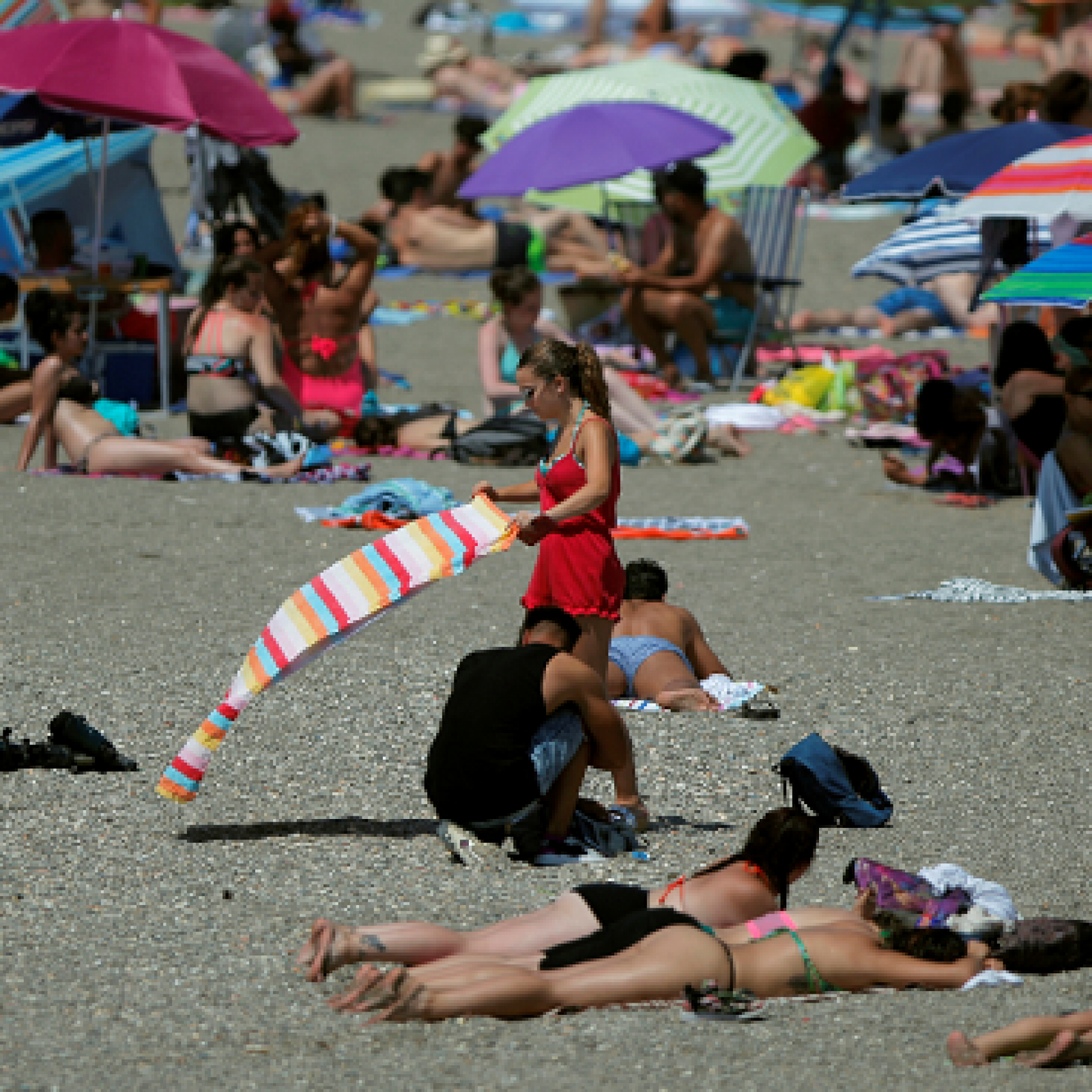 1600px x 1600px - Women Can't Free the Nipple at the Beach, but Men Can, Maryland Ag Says