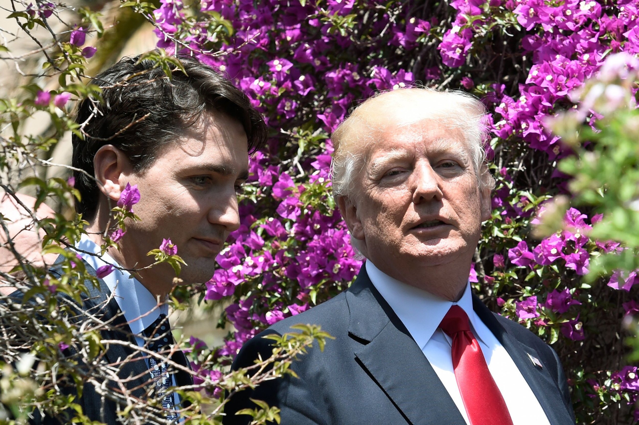 GettyImages-688908758 GettyImages-688908758