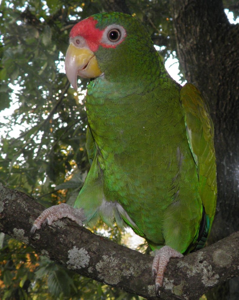 P7174778