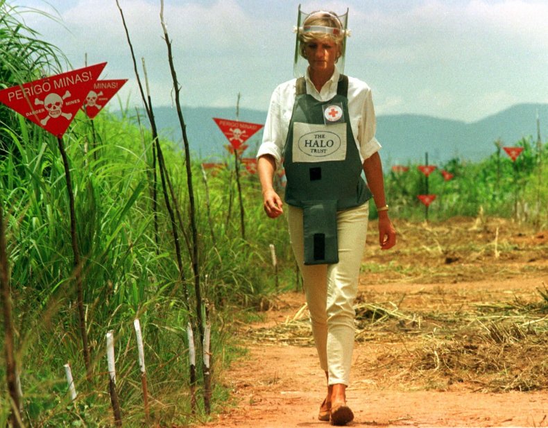 Princess Diana Minefield