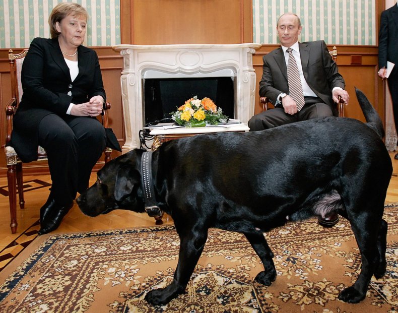 Merkel/Trump Merkel/Trump