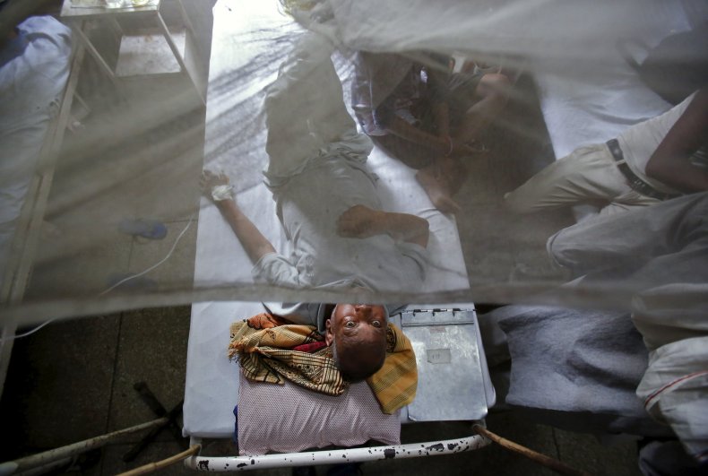 india dengue