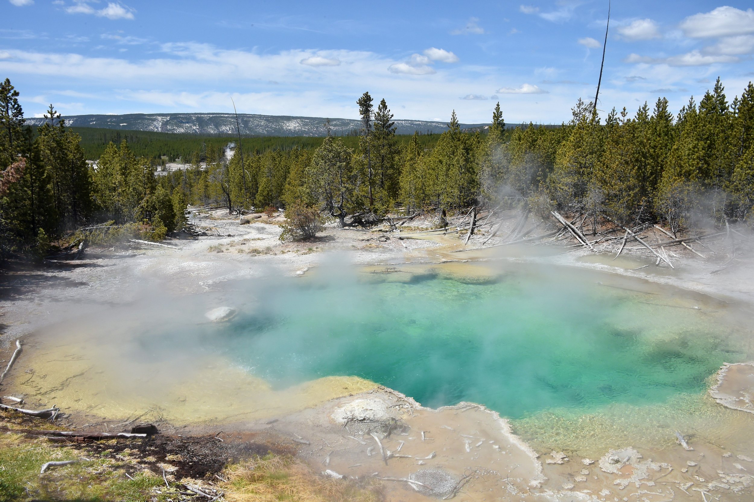 Yellowstone National Park Geyser