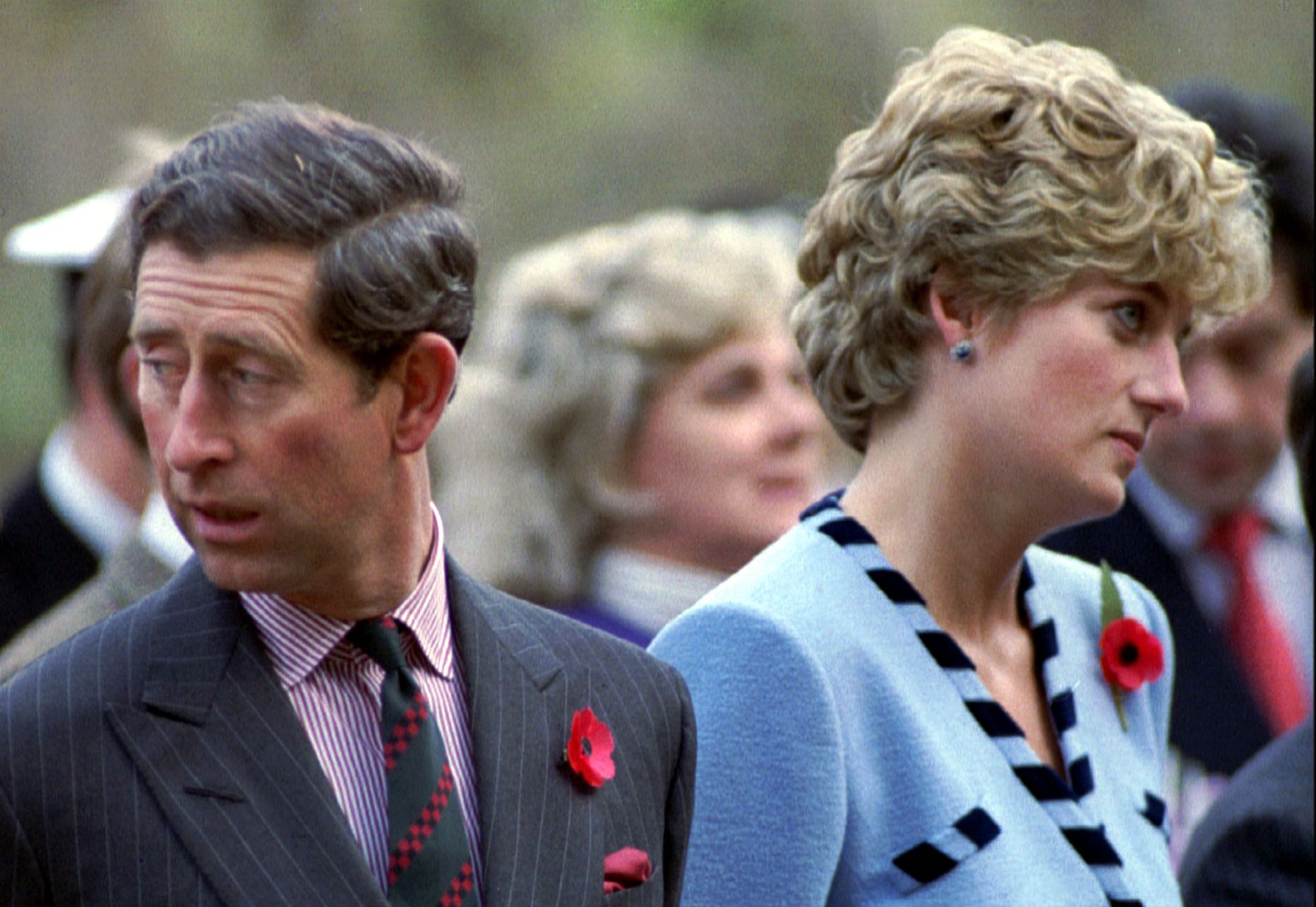 Princess Diana Prince Charles