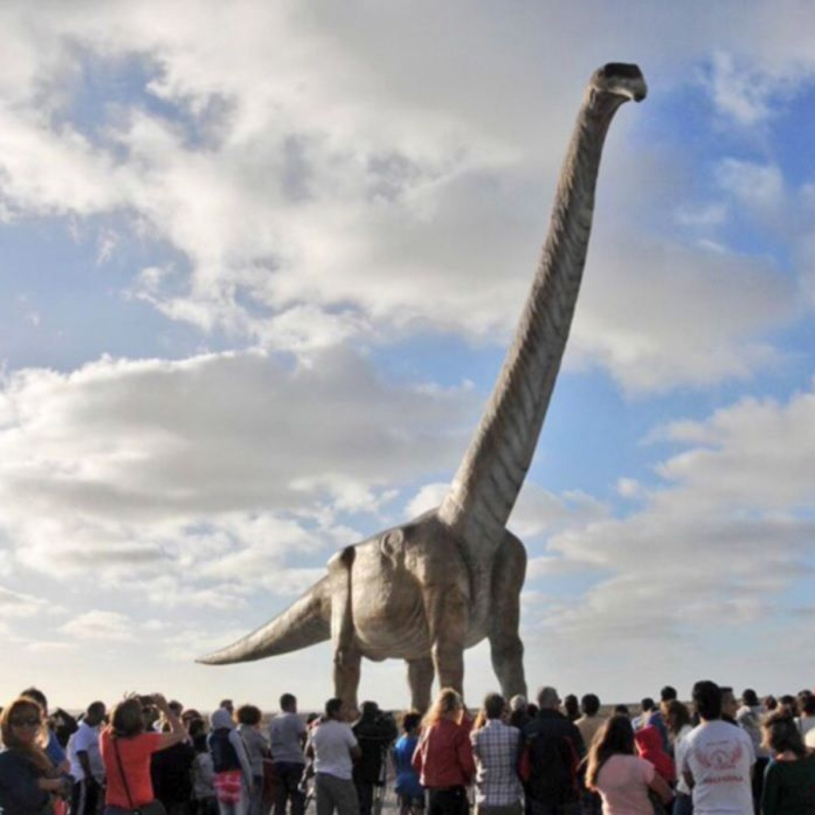 Patagotitan Mayorum: How the Biggest Dinosaur to Walk the Earth Came to Be  So Huge