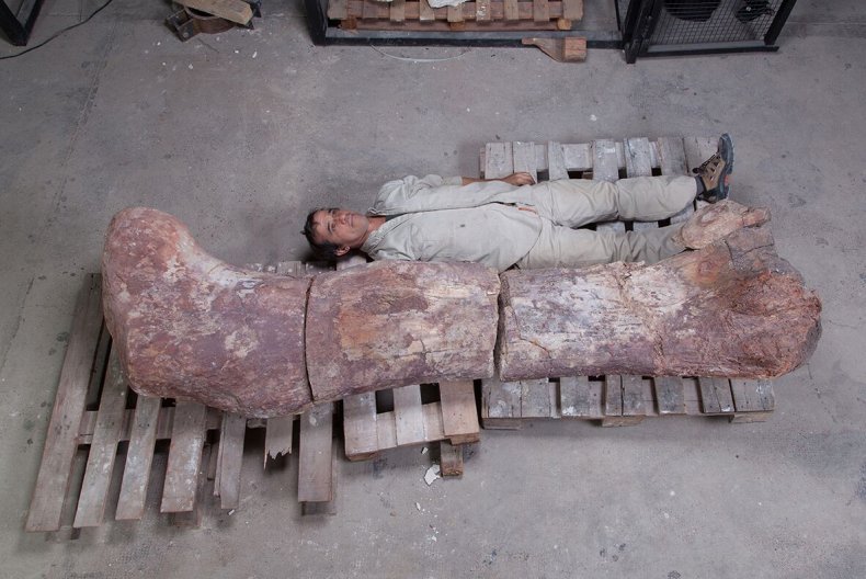 Patagotitan