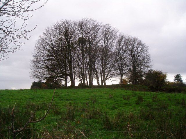 505475_9b5cc870 505475_9b5cc870