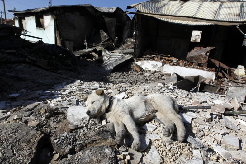 Yeonpyeong island shelling