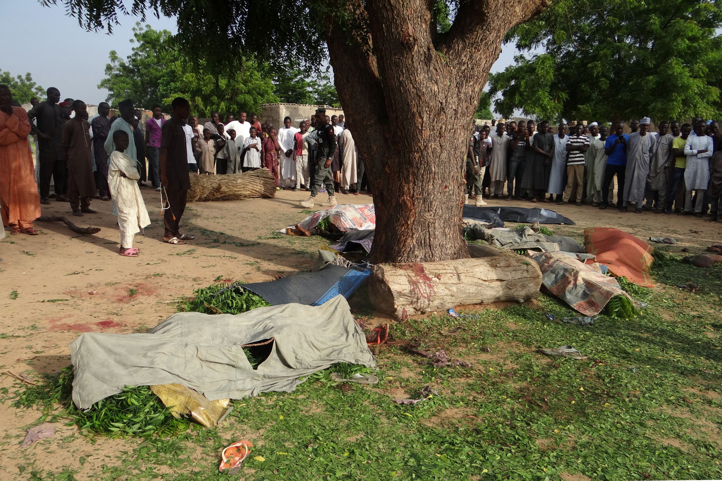 Maiduguri female suicide bombers