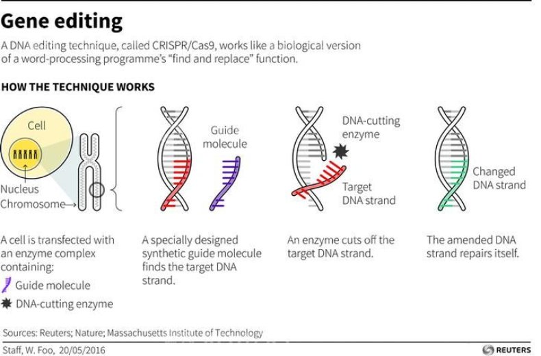 crispr graph