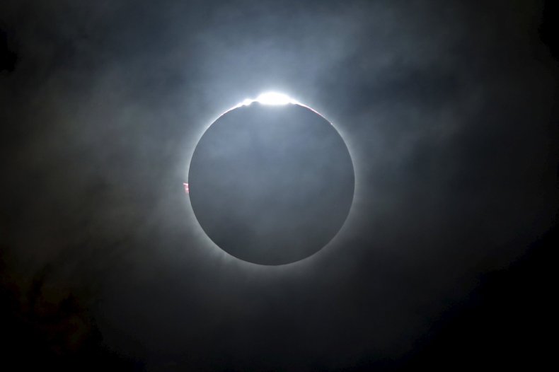 How the Total Solar Eclipse Will Affect Animals