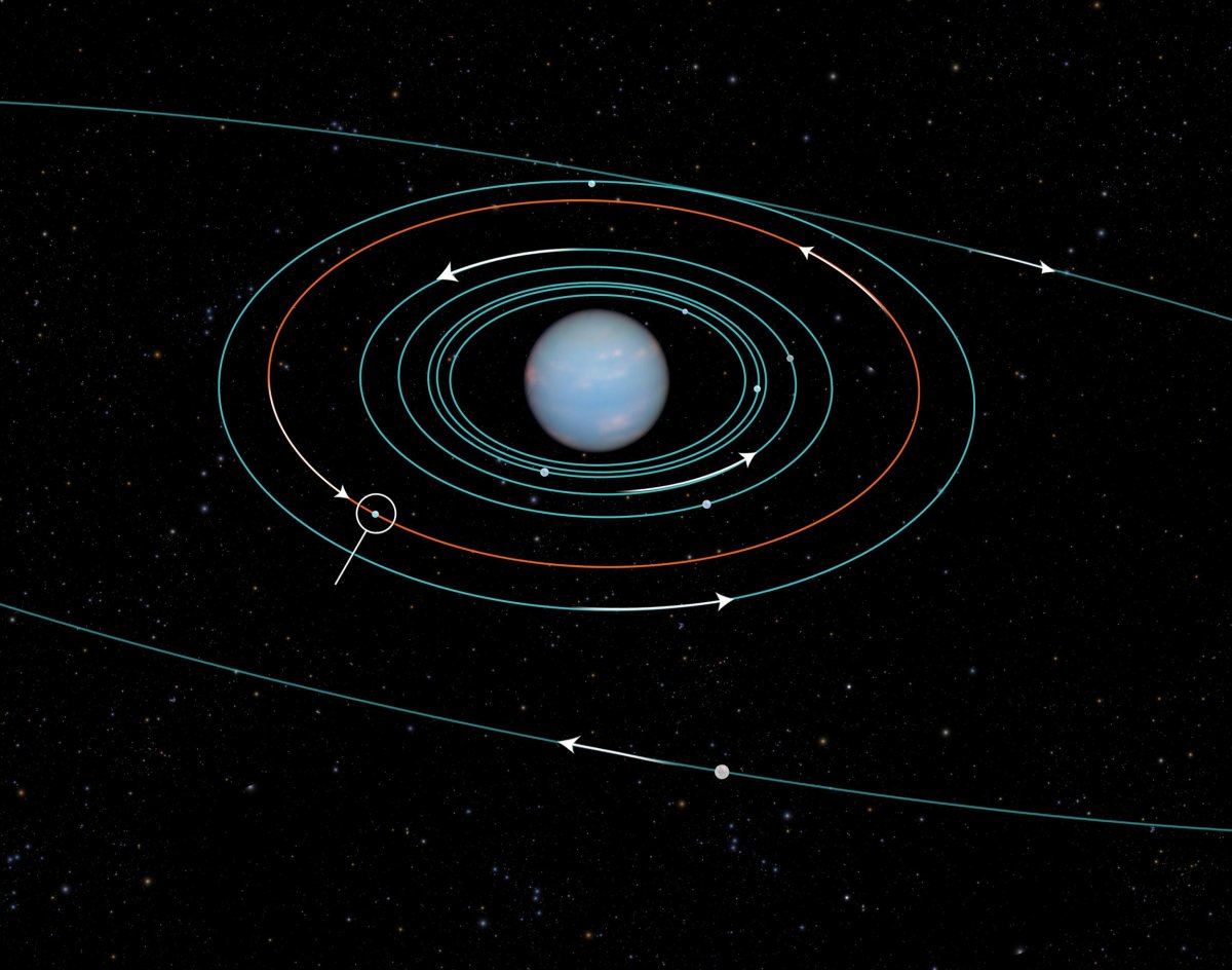 Neptune orbits