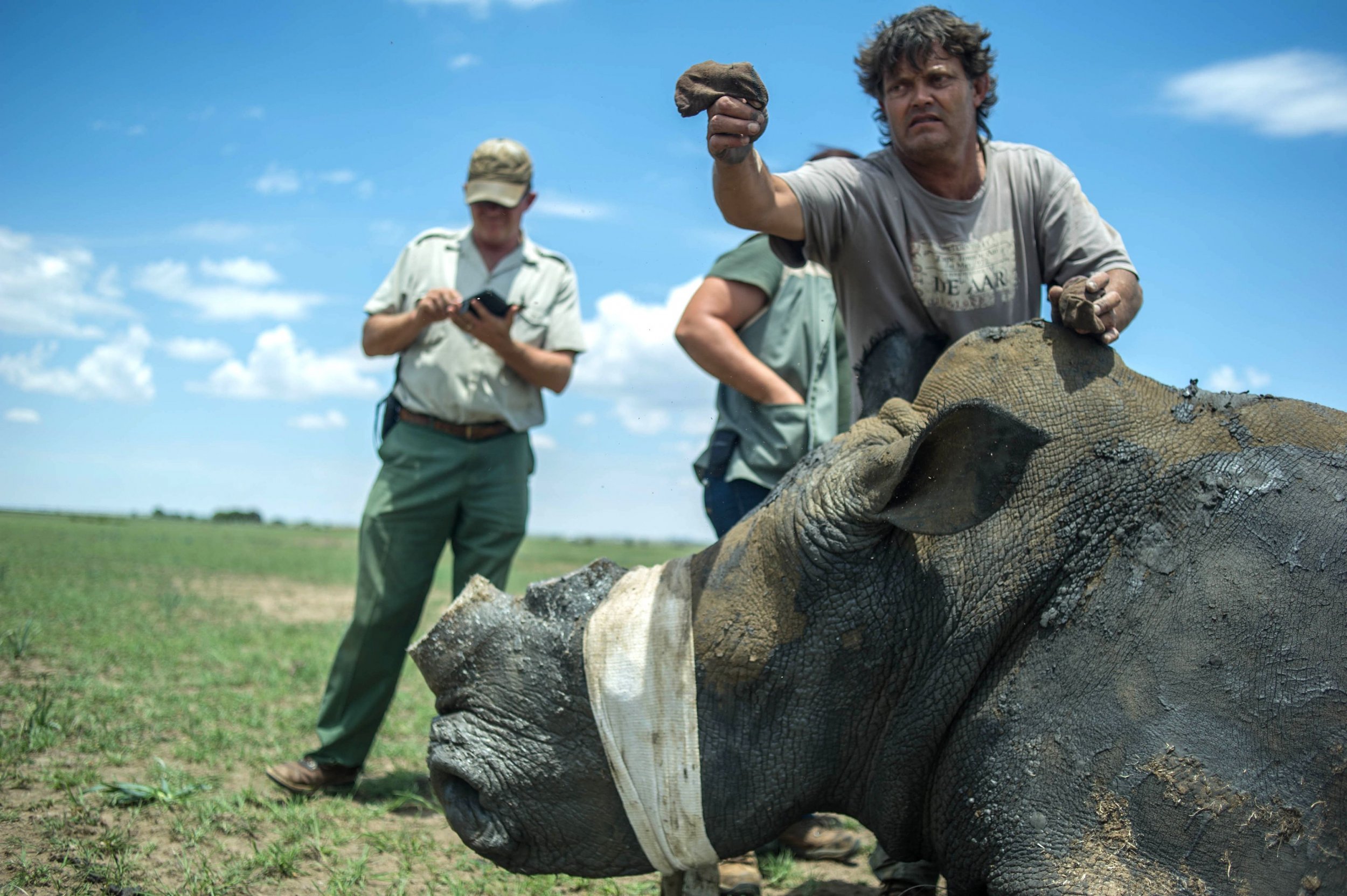 rhino ranch by larry mcmurtry