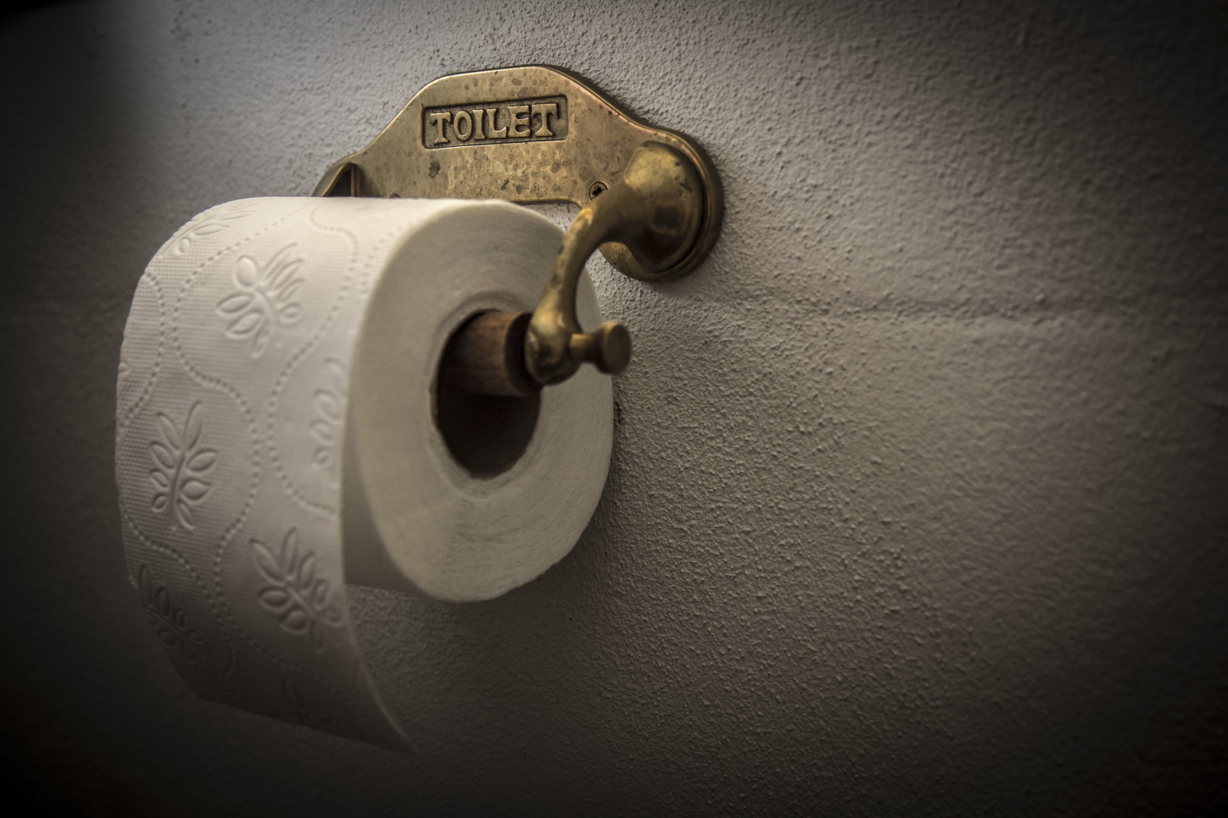 PETA Wants Vegans to Donate Their Poop to Improve LifeSaving Medical Treatment Newsweek