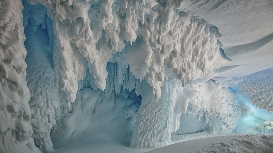 Antarctica's Hidden Caves Could Be Home to 'New World' of Plants and Animals