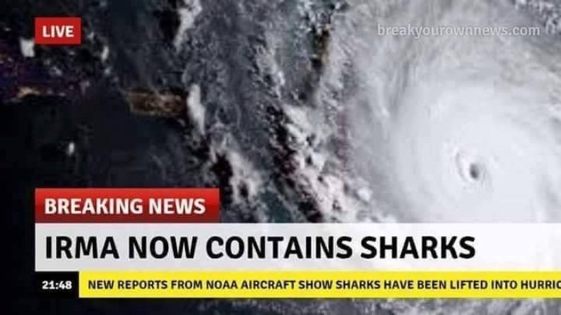 hurricane-irma